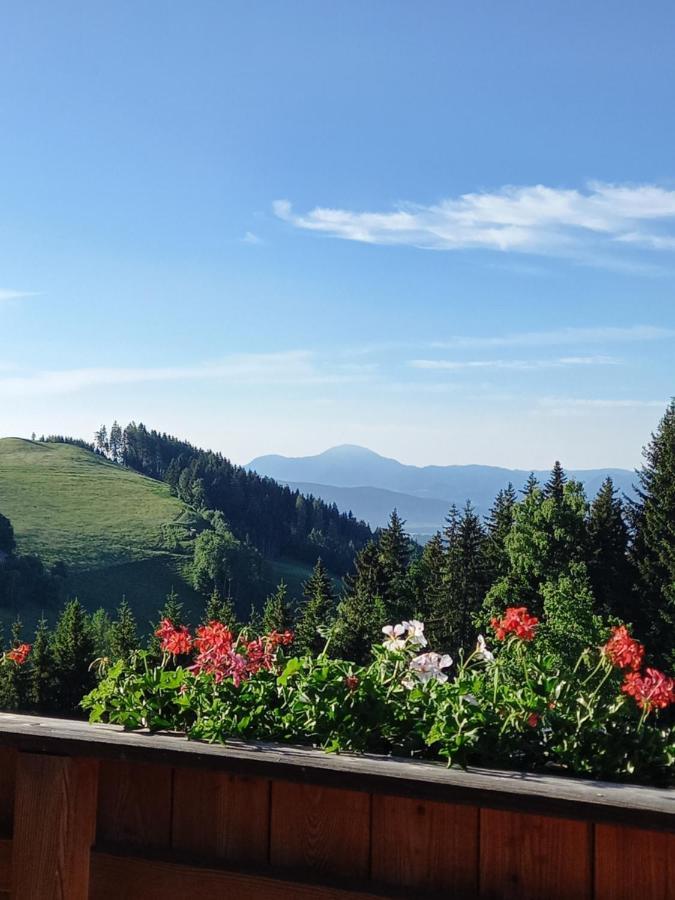 Almchalet Schuster Diex Buitenkant foto